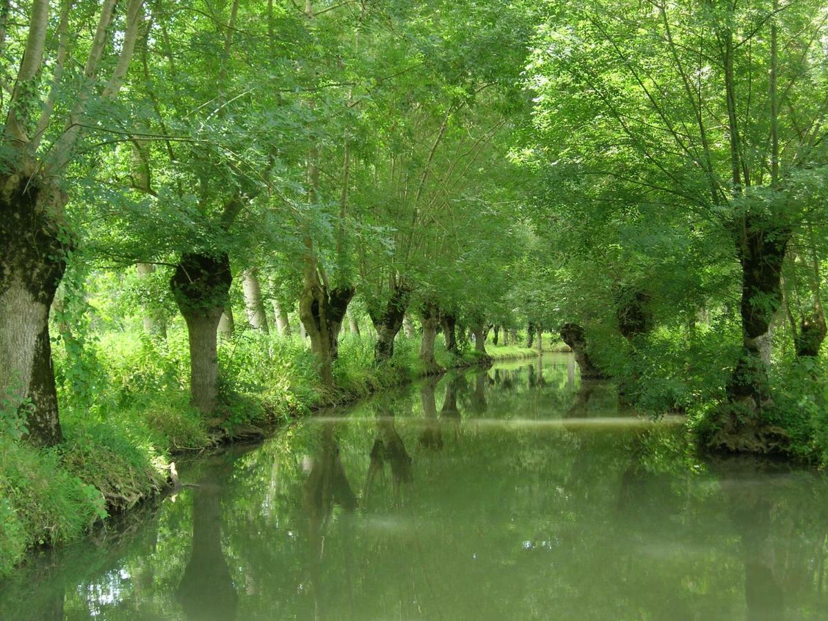 La Gauviniere Bed and Breakfast Liez Εξωτερικό φωτογραφία